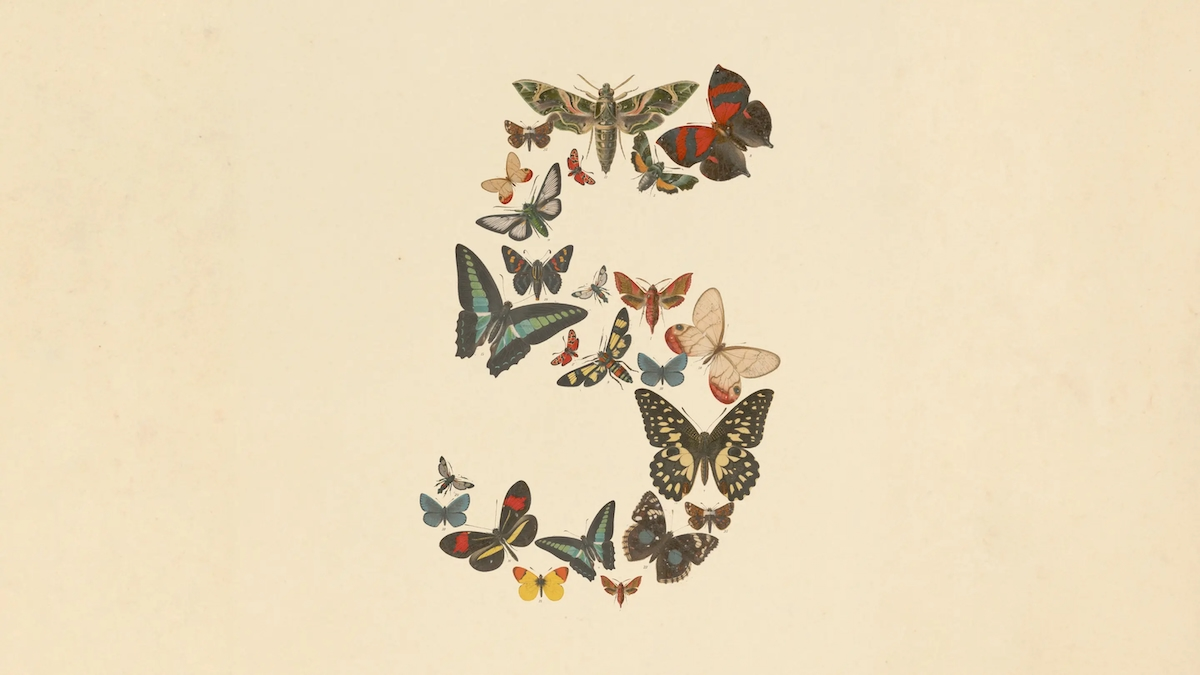 Claude Fable 5